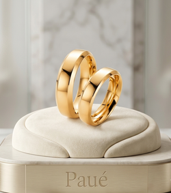 Argollas Zenith Oro 18k