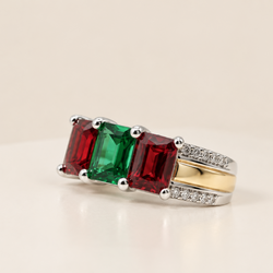 Anillo Duplex