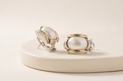 Aretes Privé