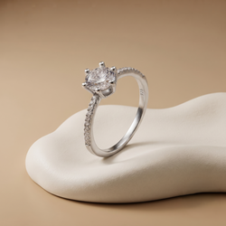 Anillo Orla Plata 925