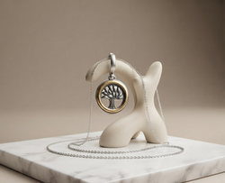 Dije Axis Oro Plata