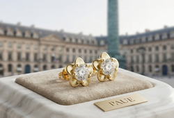 Aretes Rosace En Oro Plata