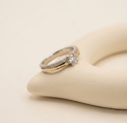 Anillo Elegancia Atemporal Oro Plata