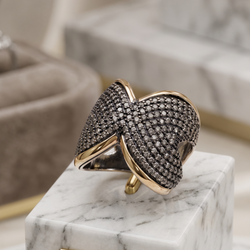 Anillo Bellavique Oro Plata