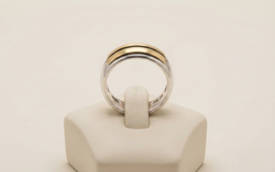 Anillo Quintessence Oro Plata