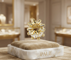 Dije o Sharm Radiante Con Baño En Oro