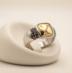 Anillo Capri Oro Plata