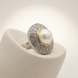 Anillo Hudson Oro Plata