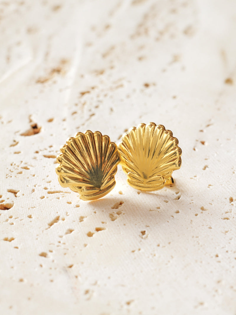 Set Arete Concha