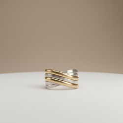 Anillo Vela