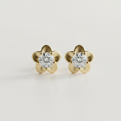 Aretes Rosace