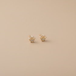 Topos Oro Royal